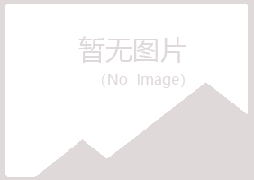 都江堰夏日咨询有限公司